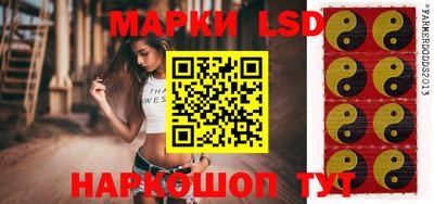 Альфа ПВП Донецк