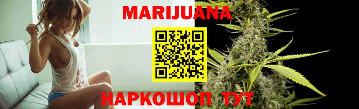 Кызыл  Каннабис White Widow  Каннабис семена  Шишки марихуана сатива  Вход с VPN  Марихуана сатива 